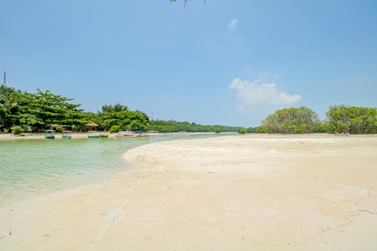 Guerilla Dive Lodge Pulau Pari Джакарта Екстер'єр фото